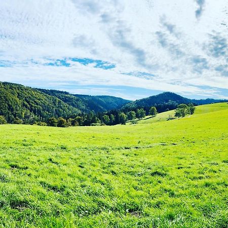 Ferienhaus Doina Gehlberg エクステリア 写真