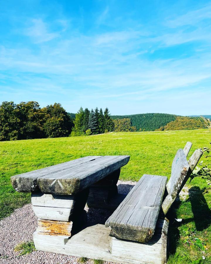 Ferienhaus Doina Gehlberg エクステリア 写真