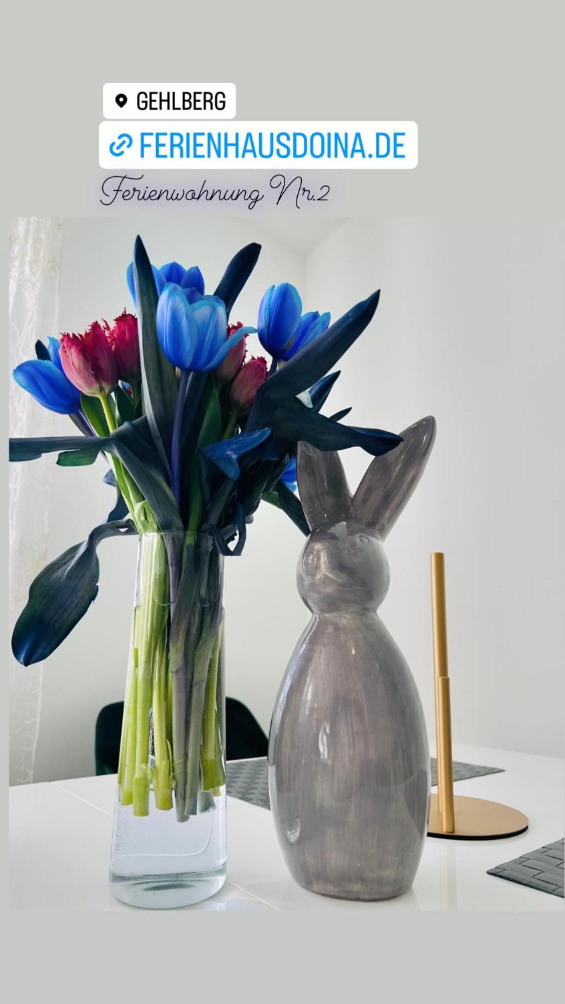 Ferienhaus Doina Gehlberg エクステリア 写真