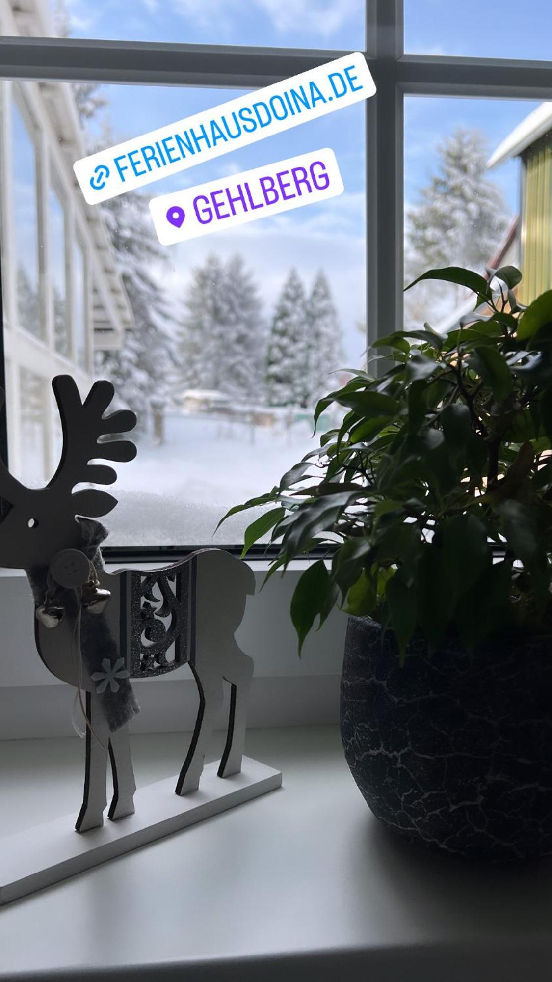 Ferienhaus Doina Gehlberg エクステリア 写真