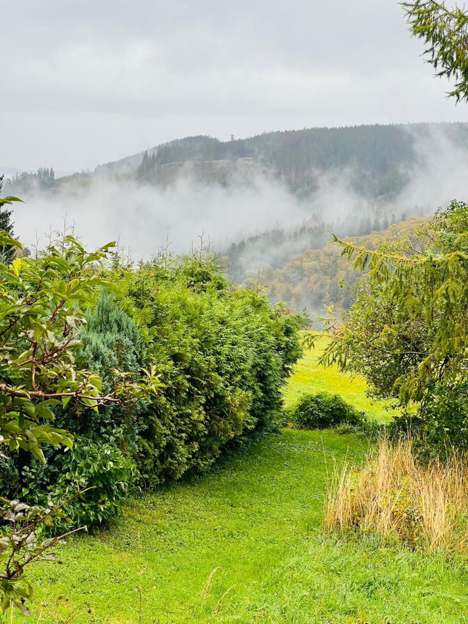 Ferienhaus Doina Gehlberg エクステリア 写真