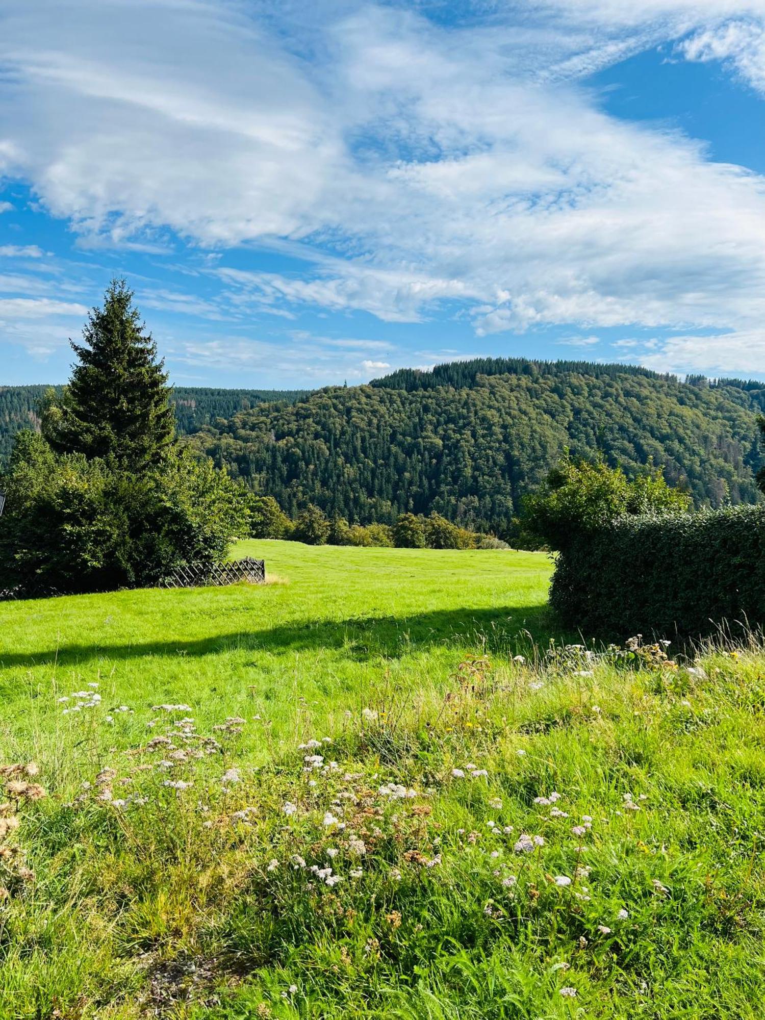 Ferienhaus Doina Gehlberg エクステリア 写真