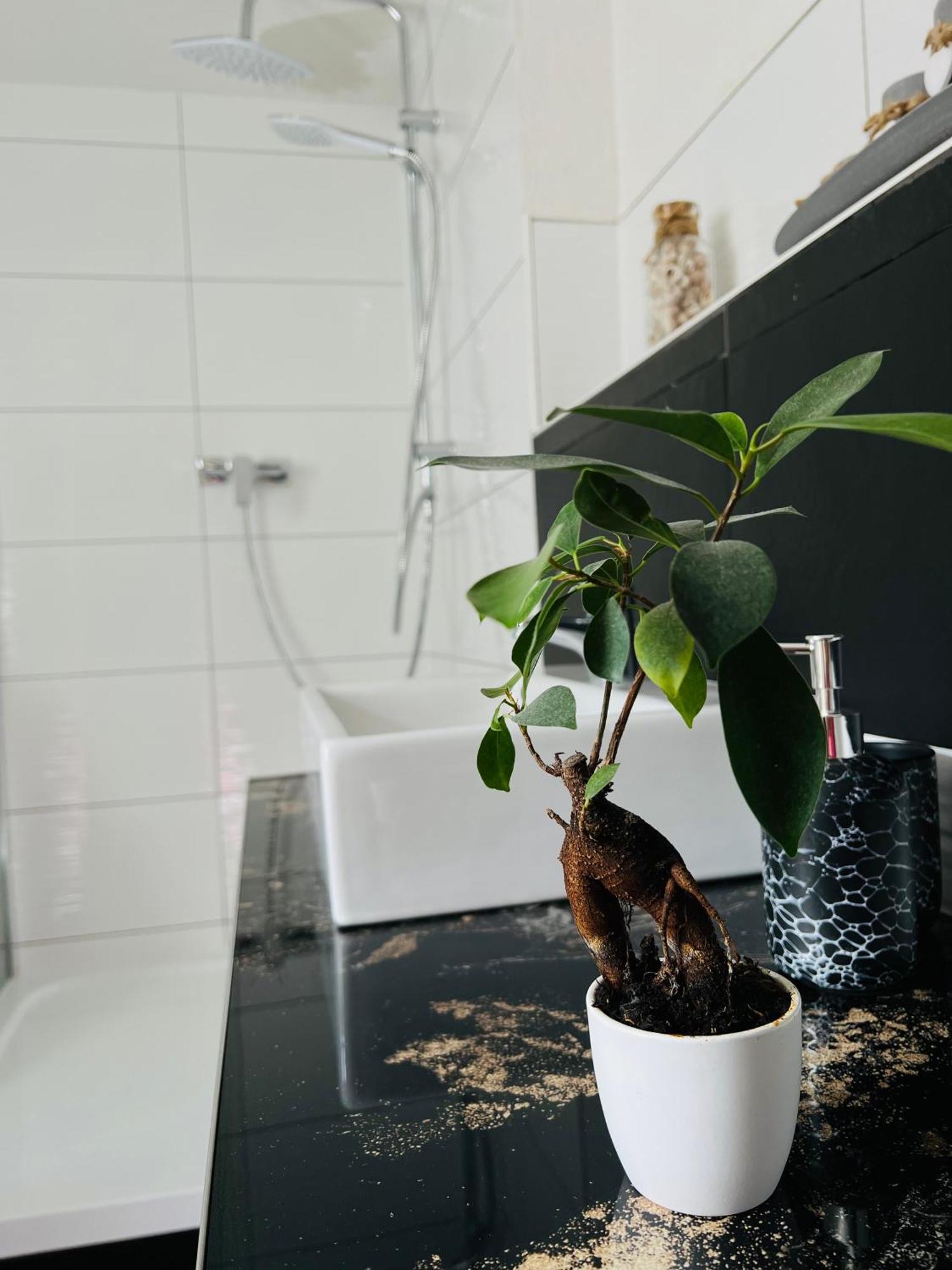 Ferienhaus Doina Gehlberg エクステリア 写真