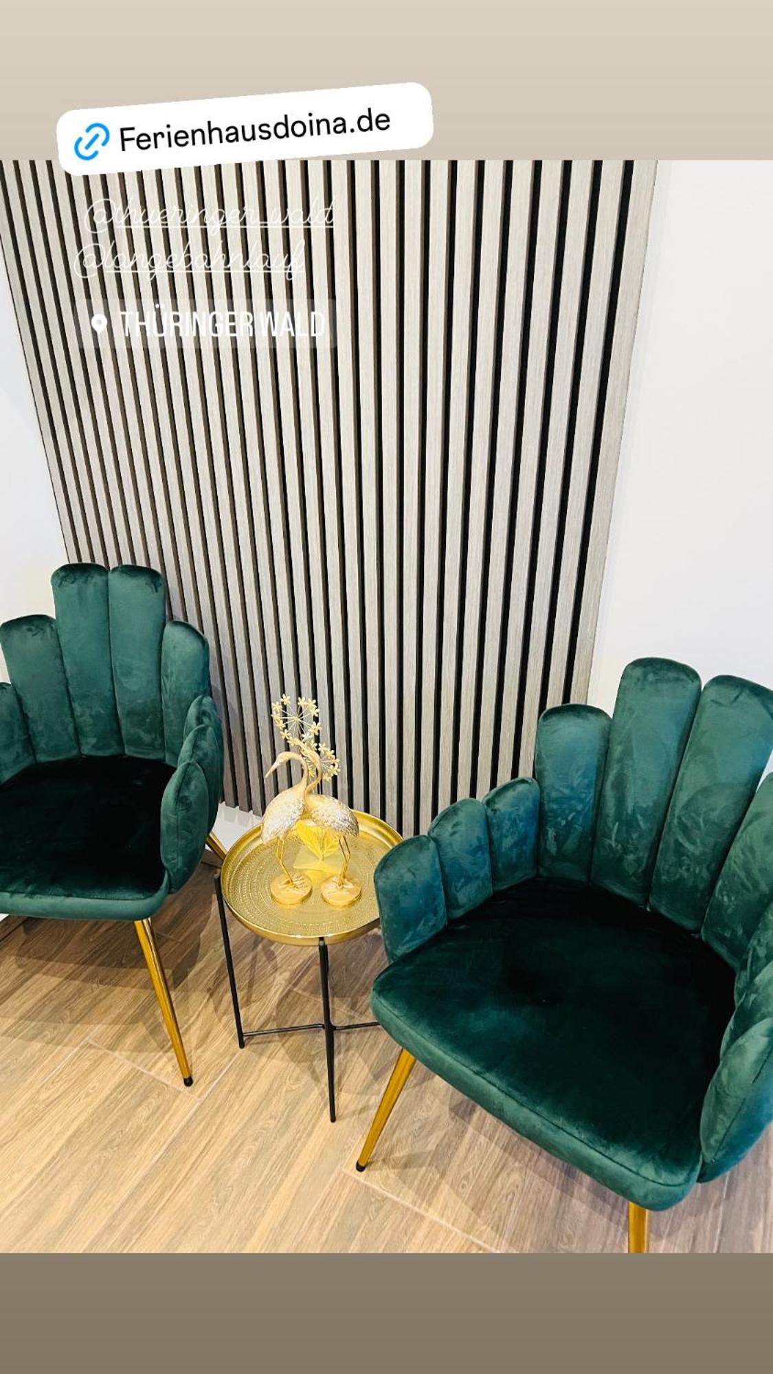 Ferienhaus Doina Gehlberg エクステリア 写真
